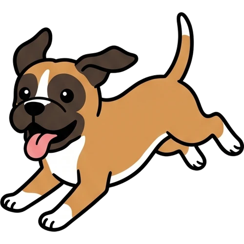 Boxer