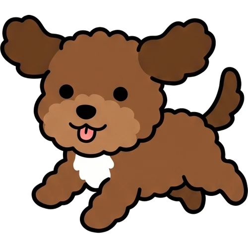 Cockapoo