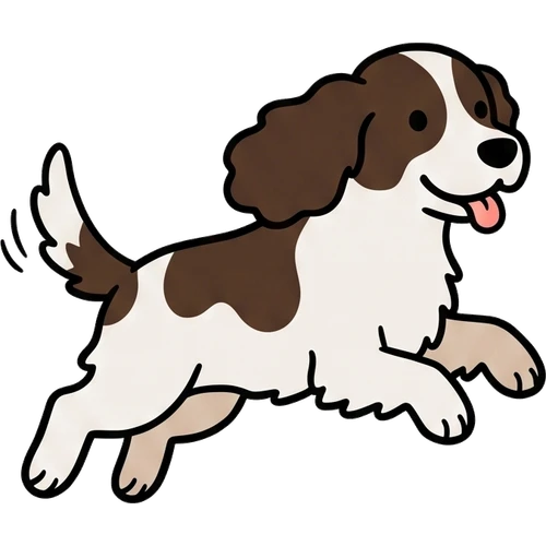 Cocker Spaniel