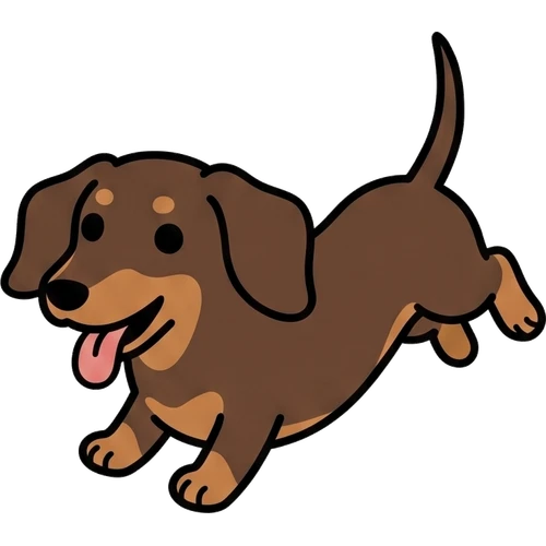 Dachshund