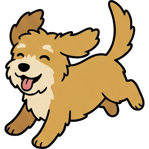 Labradoodle