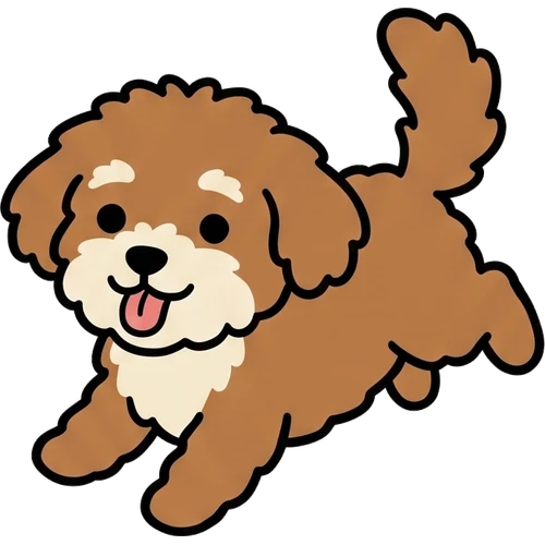 Maltipoo