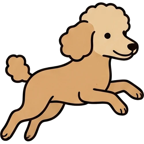 Poodle