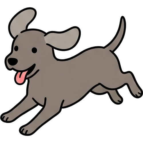 Weimaraner