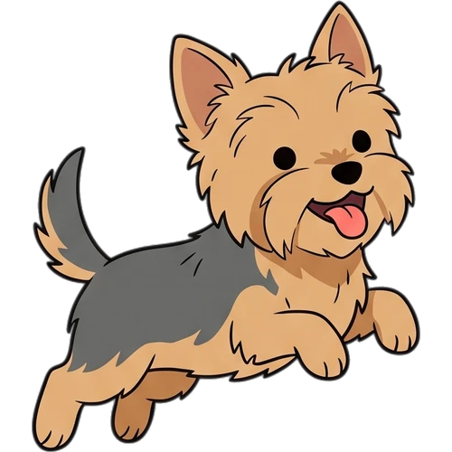 Yorkshire Terrier
